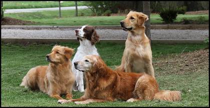 Cadie Chip Vinny Cooper May 2013