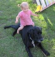 Baby sitting on dog