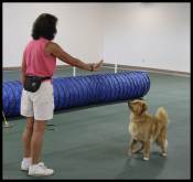 Chip Learning Back Up Signal