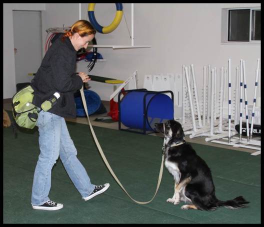 Inge and Connor Fall 2013