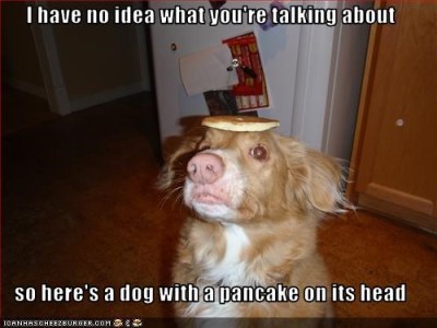 pancake dog