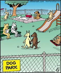 Dog Park Comic 2