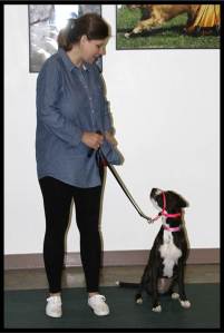 Juno and Carrie Default Eye Contact