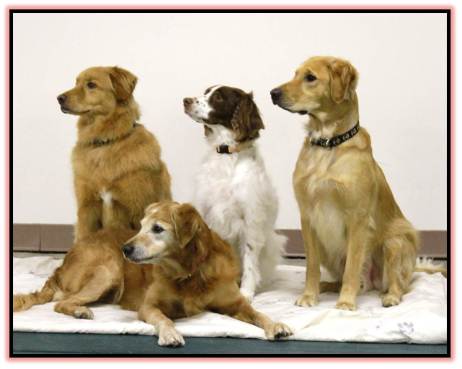 Chip Cadie Vinny Cooper Dec 2012