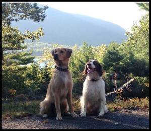Vinny and Cooper Aunt Betty Pond Run