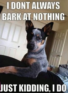 Bark at Nothing