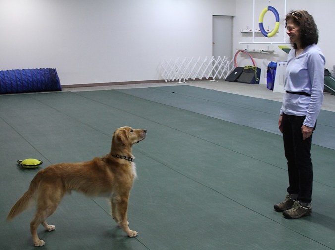 Cooper Default Eye Contact