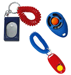 clicker-training_gif