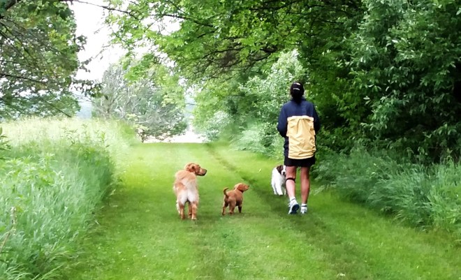 Linda Cooper Vinny Ally Walking