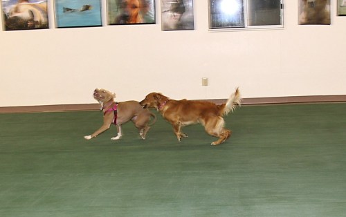 Colbie and Ally Chase