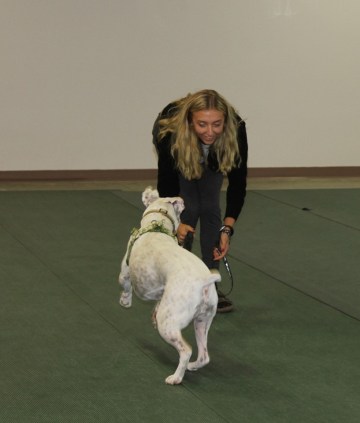 Dottie Come when Called