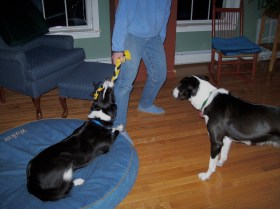 tug-of-war-with-person
