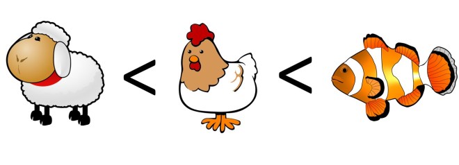 lamb-meal-vs-poultry-vs-fish