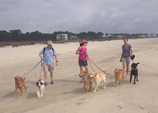 linda-mike-karen-dogs-on-beach