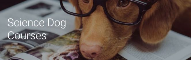 This image has an empty alt attribute; its file name is courses-banner-4.jpg